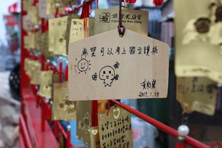 2025新澳门免费挂牌灯牌与2025港澳资料免费大全-现状说明解析